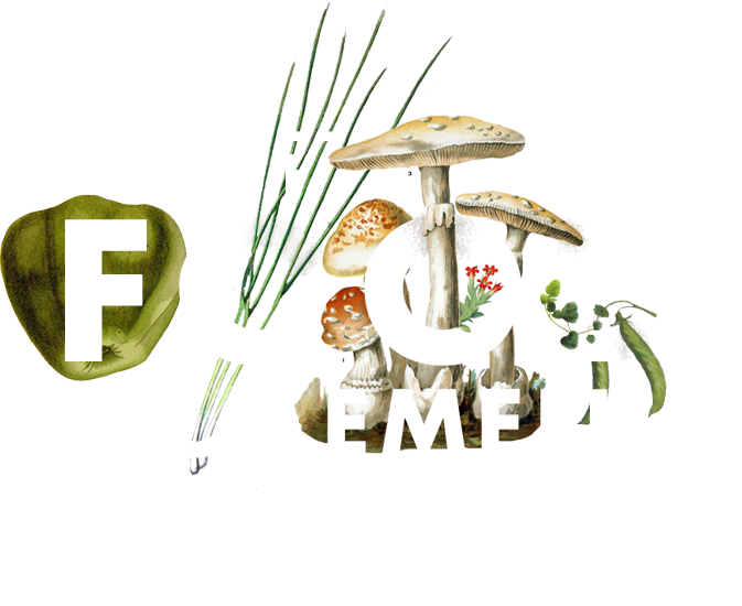 Maine's Local Food Movement